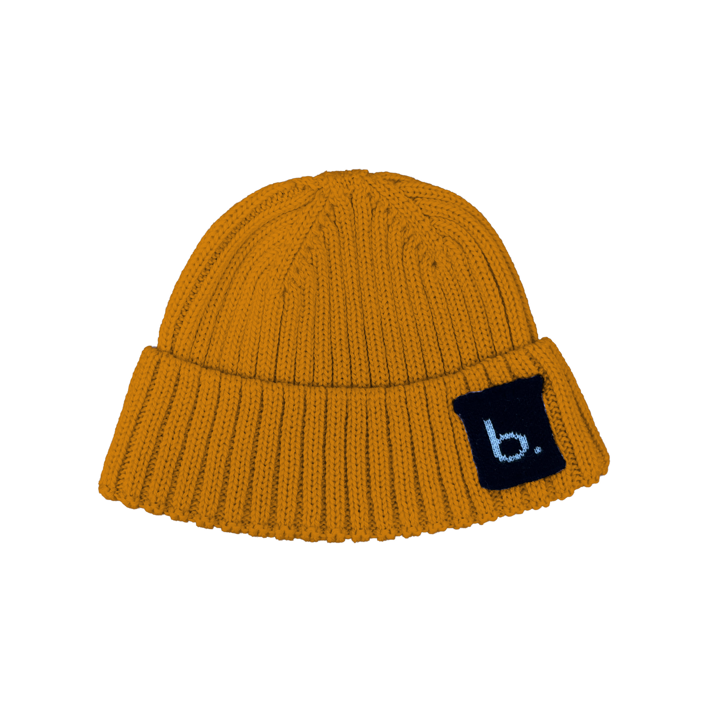 The New Born Baby Beanie